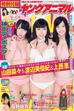公安局长2