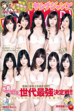 极品艳岳