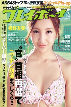 美国警察模拟器手机版下载