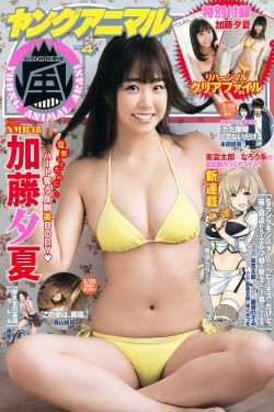 iris韩剧